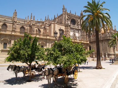 Cathédrale de Séville et chevaux
